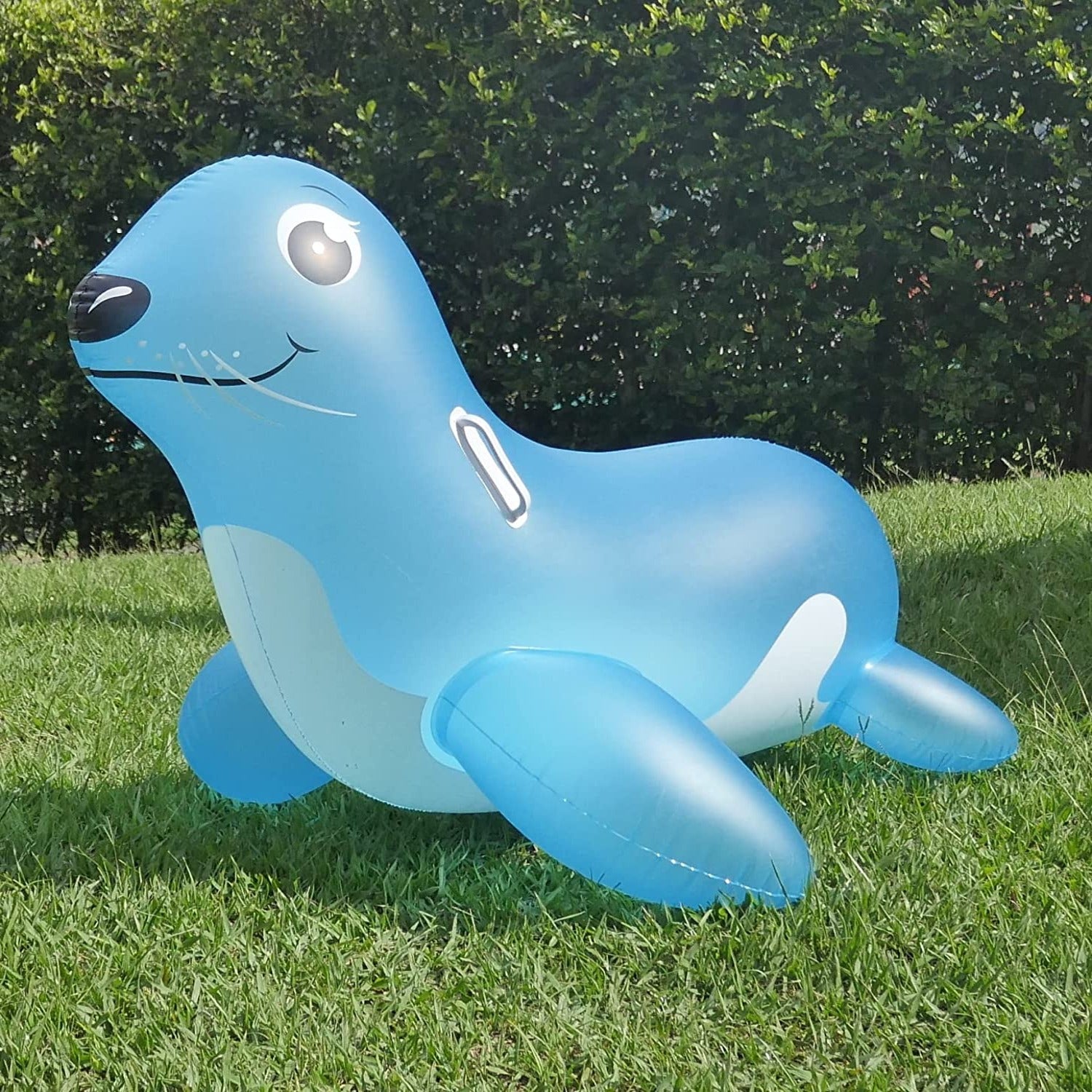 Lion store pool float